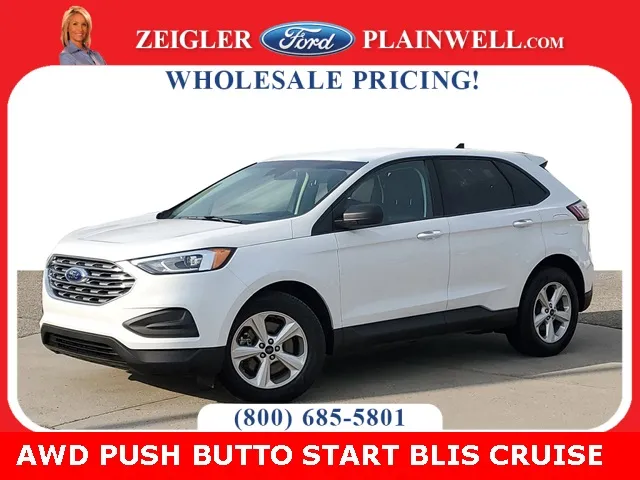 2019 Ford Edge SE for sale in Plainwell, MI