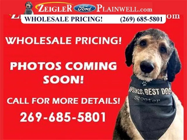 2017 Chrysler Pacifica Touring L Plus for sale in Plainwell, MI