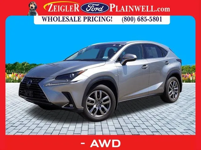 2020 Lexus NX 300h for sale in Plainwell, MI