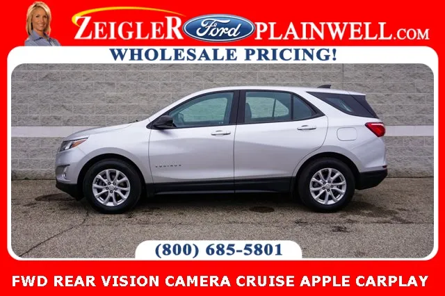 2020 Chevrolet Equinox LS for sale in Plainwell, MI