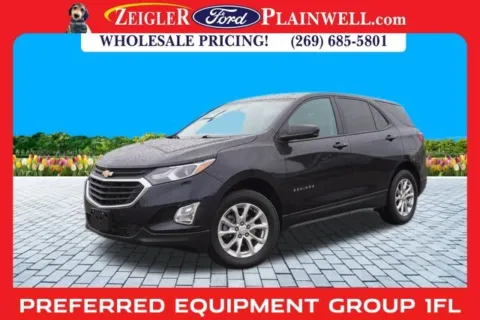 Blue 2020 Chevrolet Equinox LS for sale in Plainwell, MI