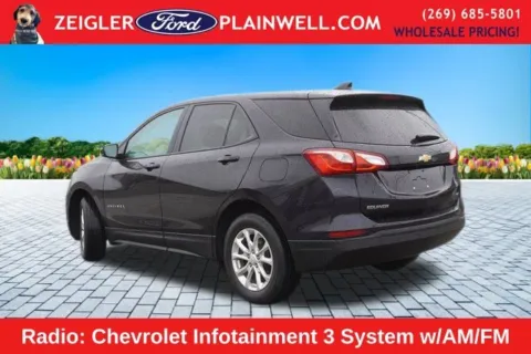 Another view of 2020 Chevrolet Equinox LS for sale in Plainwell, MI at Zeigler Ford of Plainwell