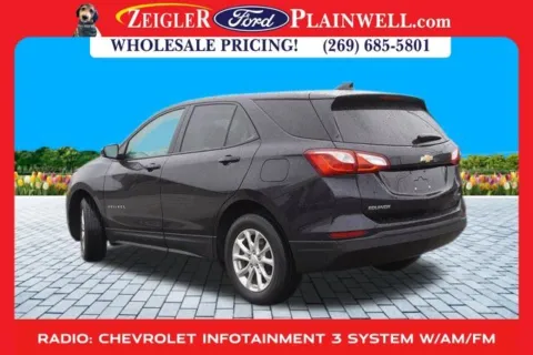 Another view of 2020 Chevrolet Equinox LS for sale in Plainwell, MI at Zeigler Ford of Plainwell