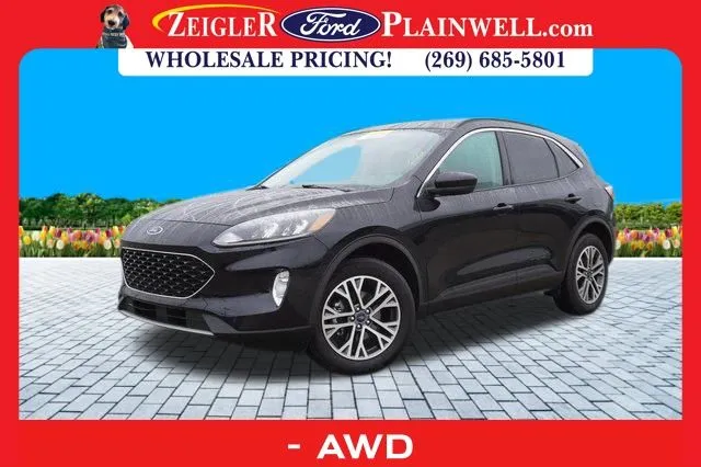 Black 2020 Ford Escape SEL for sale in Plainwell, MI