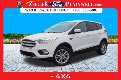 White 2019 Ford Escape SE for sale in Plainwell, MI