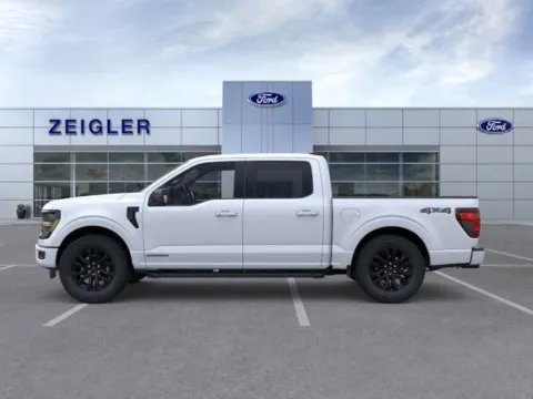Another view of 2025 Ford F-150 XLT for sale in Plainwell, MI at Zeigler Ford of Plainwell
