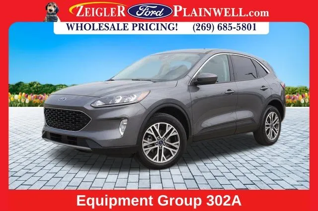 Gray 2022 Ford Escape SEL for sale in Plainwell, MI