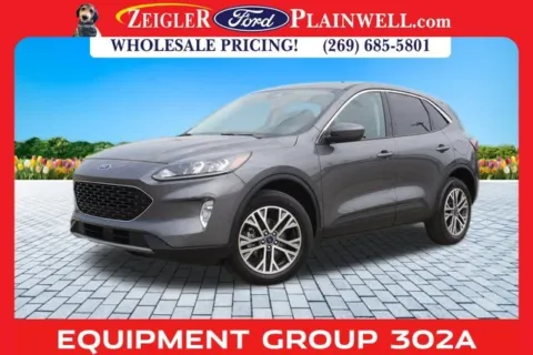 Gray 2022 Ford Escape SEL for sale in Plainwell, MI