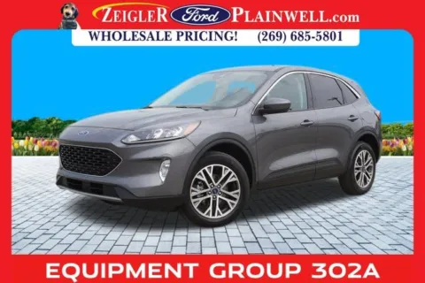 Gray 2022 Ford Escape SEL for sale in Plainwell, MI