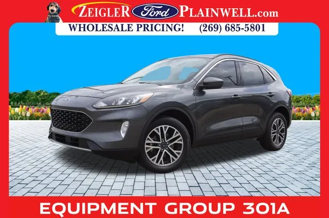 Gray 2020 Ford Escape SEL for sale in Plainwell, MI