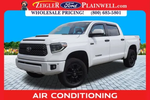 White 2021 Toyota Tundra TRD Pro for sale in Plainwell, MI