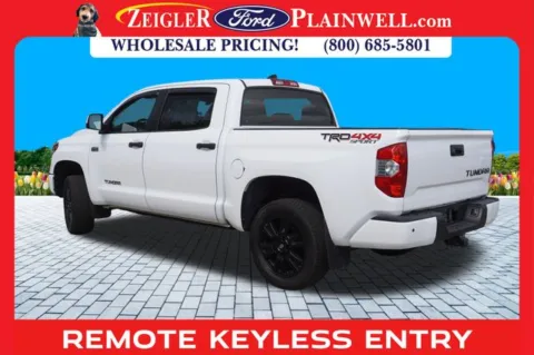 Another view of 2021 Toyota Tundra TRD Pro for sale in Plainwell, MI at Zeigler Ford of Plainwell