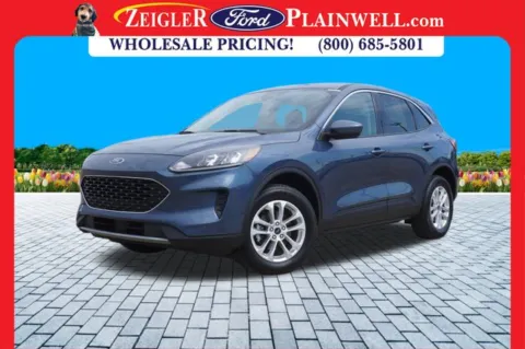 Blue 2020 Ford Escape SE for sale in Plainwell, MI
