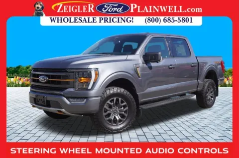 Gray 2023 Ford F-150 Tremor for sale in Plainwell, MI