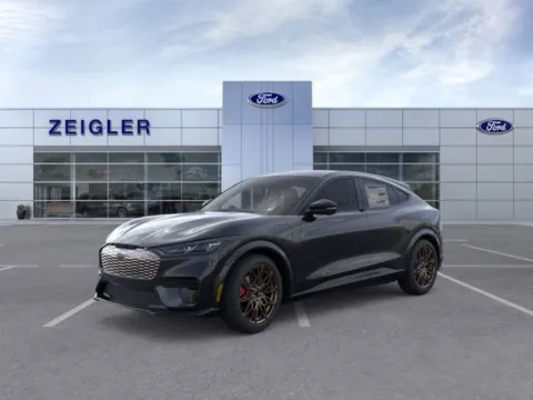 Black 2025 Ford Mustang Mach-E GT for sale in Plainwell, MI