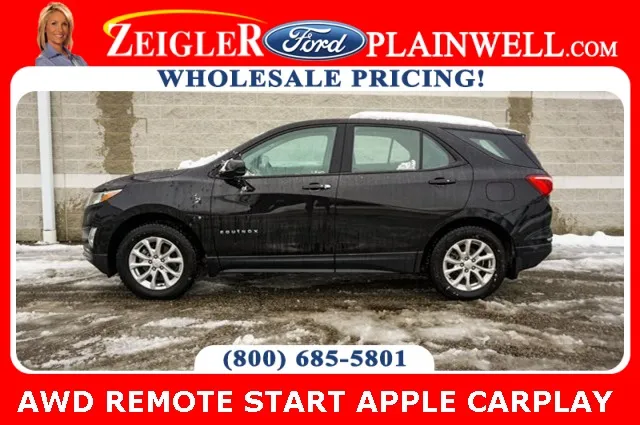 2019 Chevrolet Equinox LS for sale in Plainwell, MI