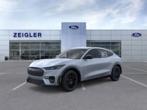 Gray 2025 Ford Mustang Mach-E Premium for sale in Plainwell, MI
