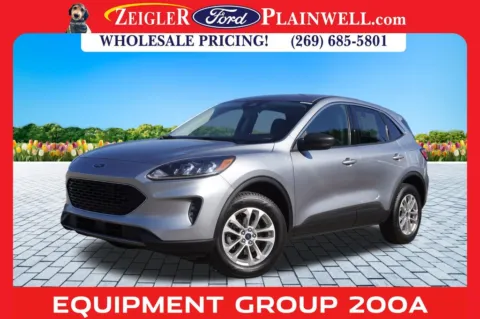Silver 2022 Ford Escape SE for sale in Plainwell, MI