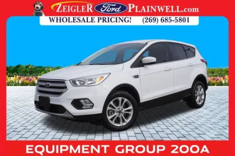 White 2019 Ford Escape SE for sale in Plainwell, MI