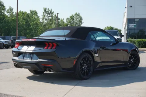 More photos of 2025 Ford Mustang GT Premium at Zeigler Ford of Plainwell, MI