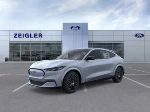 Gray 2025 Ford Mustang Mach-E Premium for sale in Plainwell, MI