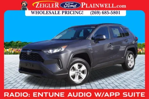 Gray 2019 Toyota RAV4 Hybrid LE for sale in Plainwell, MI