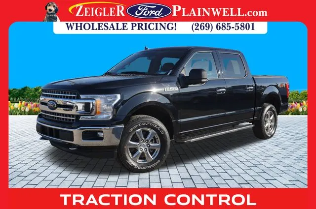 2018 Ford F-150 XLT for sale in Plainwell, MI