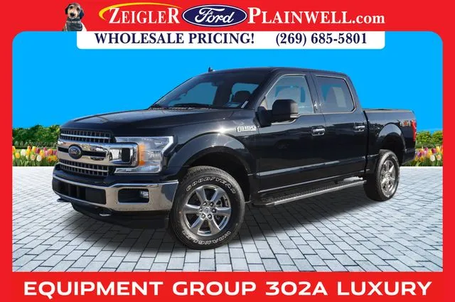 Black 2018 Ford F-150 XLT for sale in Plainwell, MI