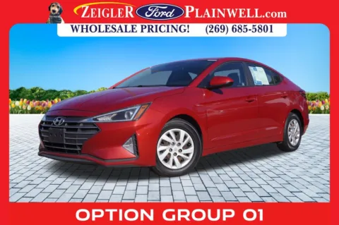 Red 2019 Hyundai Elantra SE for sale in Plainwell, MI