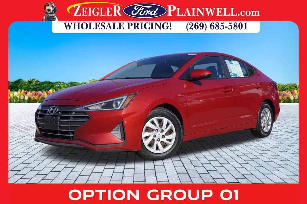 2019 Hyundai Elantra SE for sale in Plainwell, MI