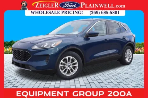 Green 2020 Ford Escape SE for sale in Plainwell, MI