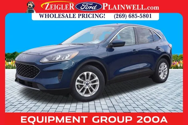 Green 2020 Ford Escape SE for sale in Plainwell, MI