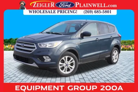 Green 2019 Ford Escape SE for sale in Plainwell, MI