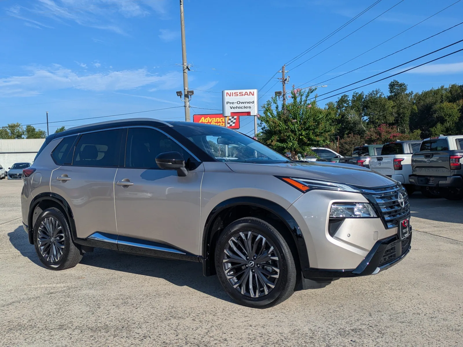 Silver 2025 Nissan Rogue Platinum for sale in Vidalia, GA