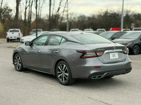 More photos of 2023 NISSAN MAXIMA SV at Angel Motors Inc, TN
