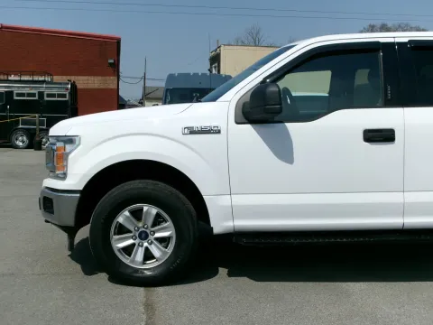 More photos of 2019 Ford F-150 XLT at Angel Motors Inc, TN