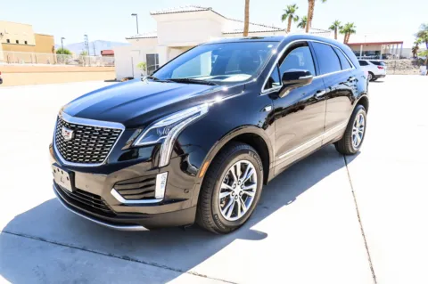 Another view of 2021 Cadillac XT5 FWD Premium Luxury for sale in Lake Havasu City, AZ at Martin Swanty's Paradise Auto