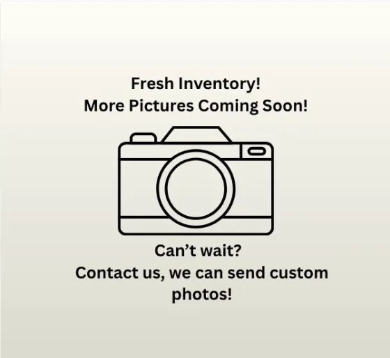 2023 Chevrolet Equinox LT for sale in Bay City, MI