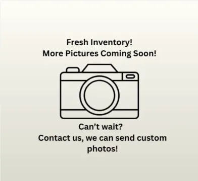 Gray 2020 Ram 1500 Big Horn/Lone Star for sale in Bay City, MI