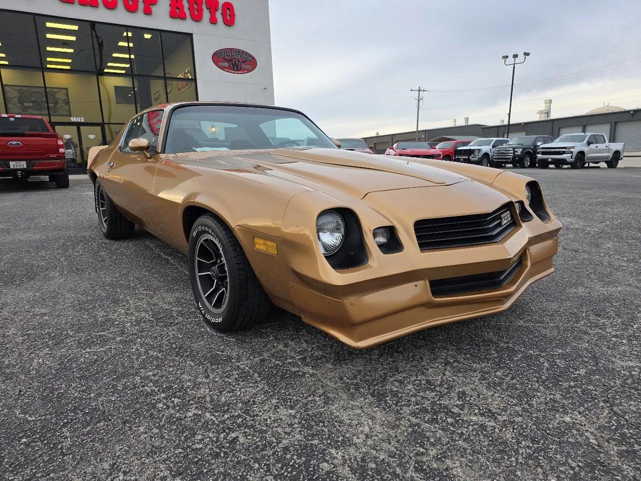 Brown 1981 CHEVROLET CAMARO for sale in Abilene, TX