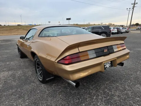 More photos of 1981 CHEVROLET CAMARO at Williams Group Auto, TX