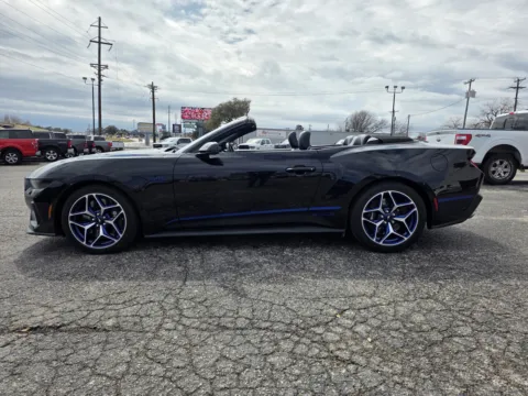 More photos of 2025 FORD MUSTANG GT at Williams Group Auto, TX