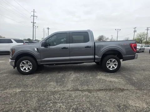 More photos of 2023 FORD F-150 SUPERCREW at Williams Group Auto, TX