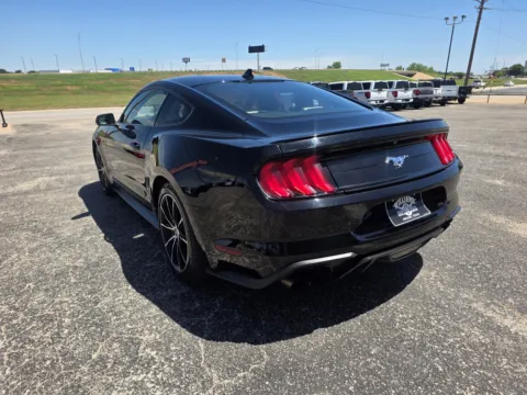 More photos of 2021 FORD MUSTANG at Williams Group Auto, TX
