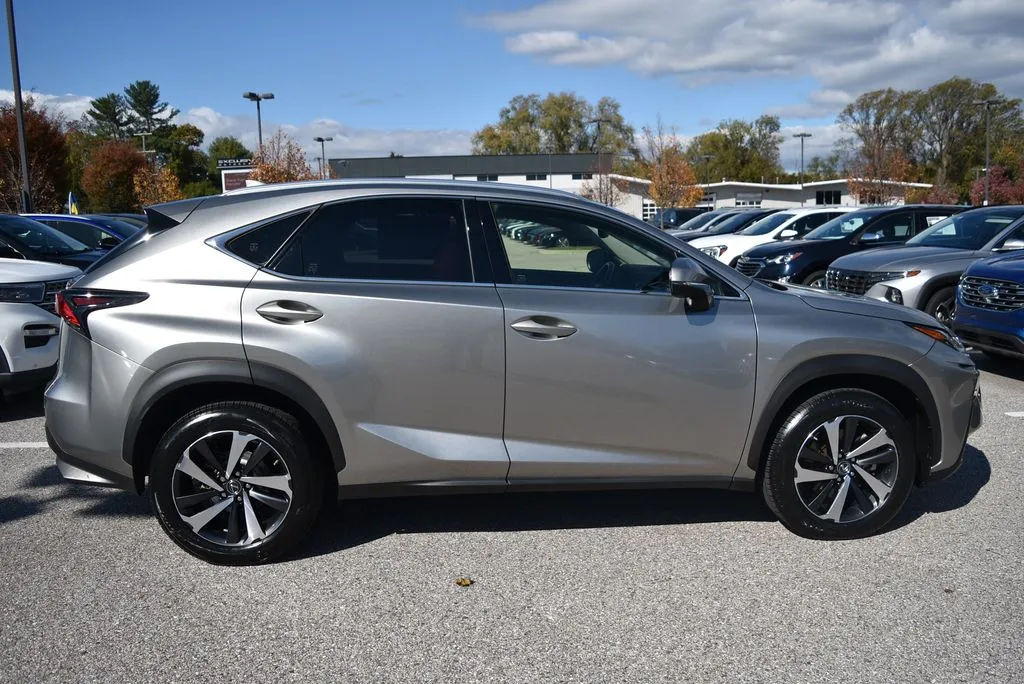 2021 Lexus NX 300's photo