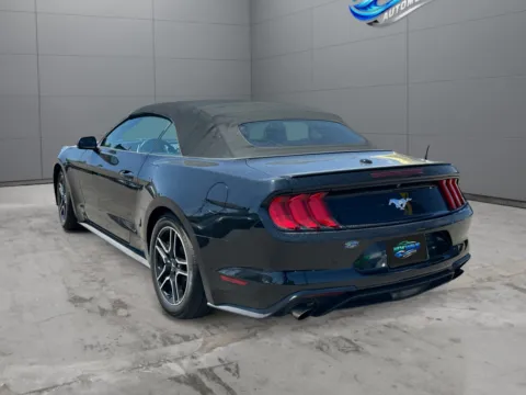 Another view of 2019 Ford Mustang EcoBoost Premium for sale in Denver, CO at New Wave Automotive