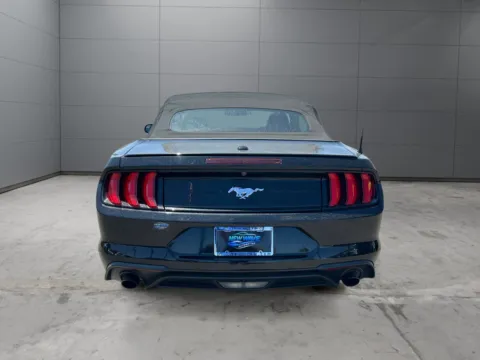 More photos of 2019 Ford Mustang EcoBoost Premium at New Wave Automotive, CO