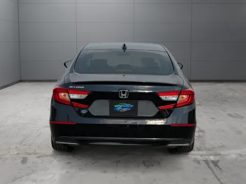 More photos of 2019 Honda Accord EX-L at New Wave Automotive, CO