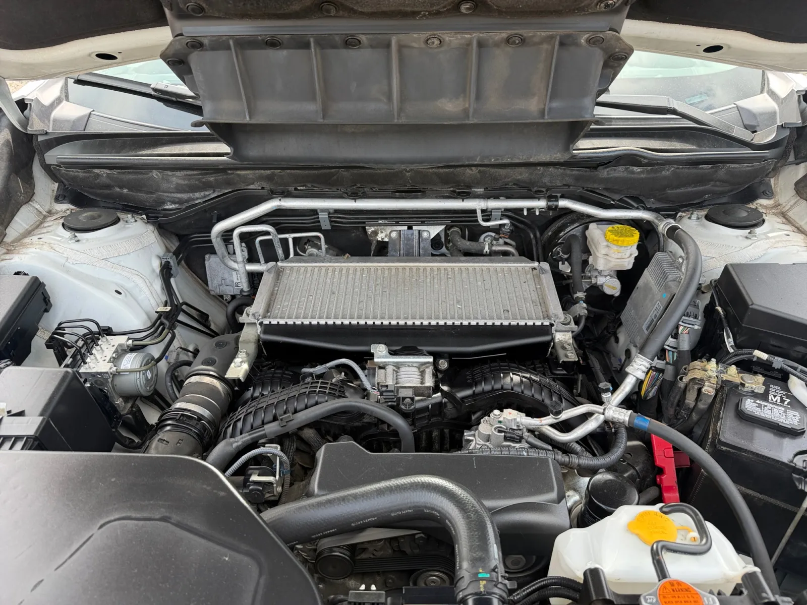 Subaru Ascent photo 20