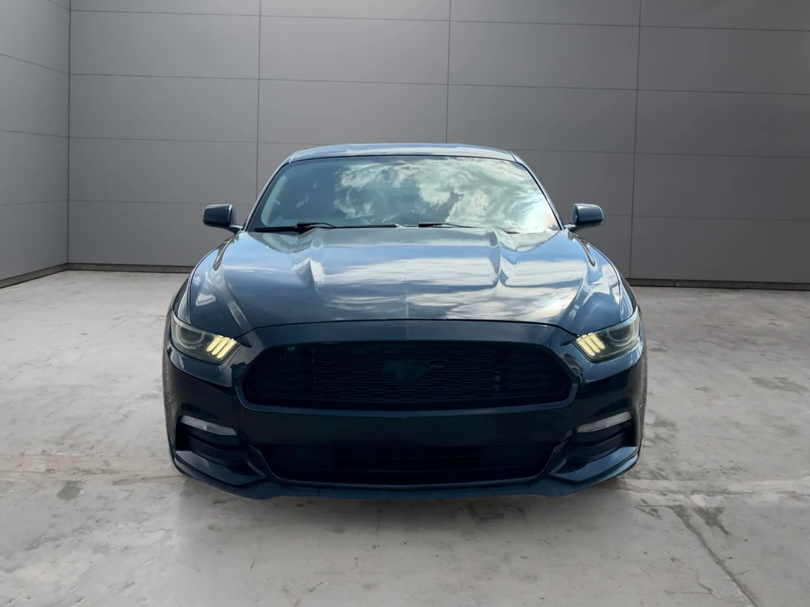Ford Mustang photo 8